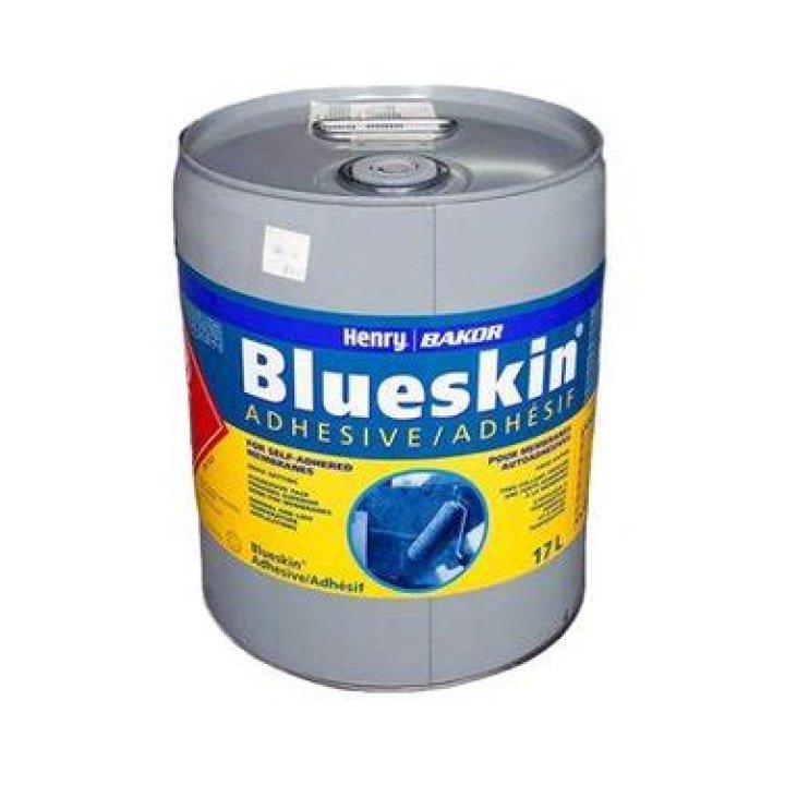How can I apply for blueskin in South Africa?