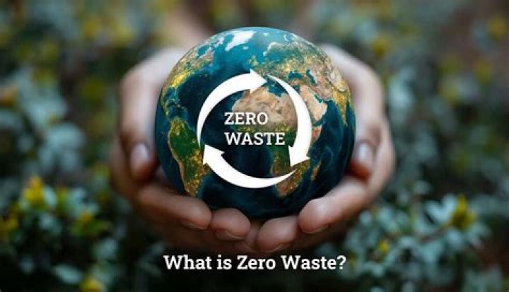 How can I be zero waste at Disney?