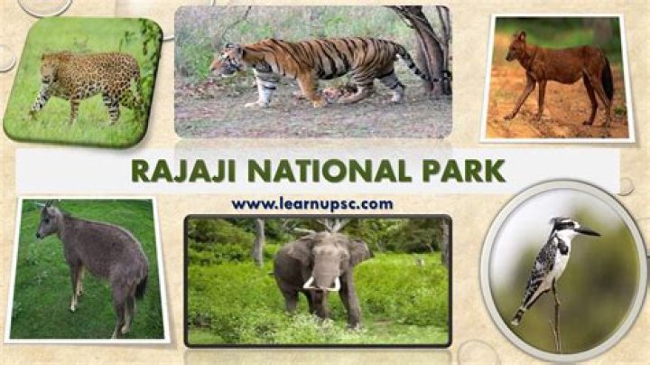 How can I book Rajaji National Park?