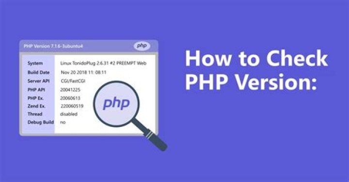 How can I check PHP configuration in IIS?