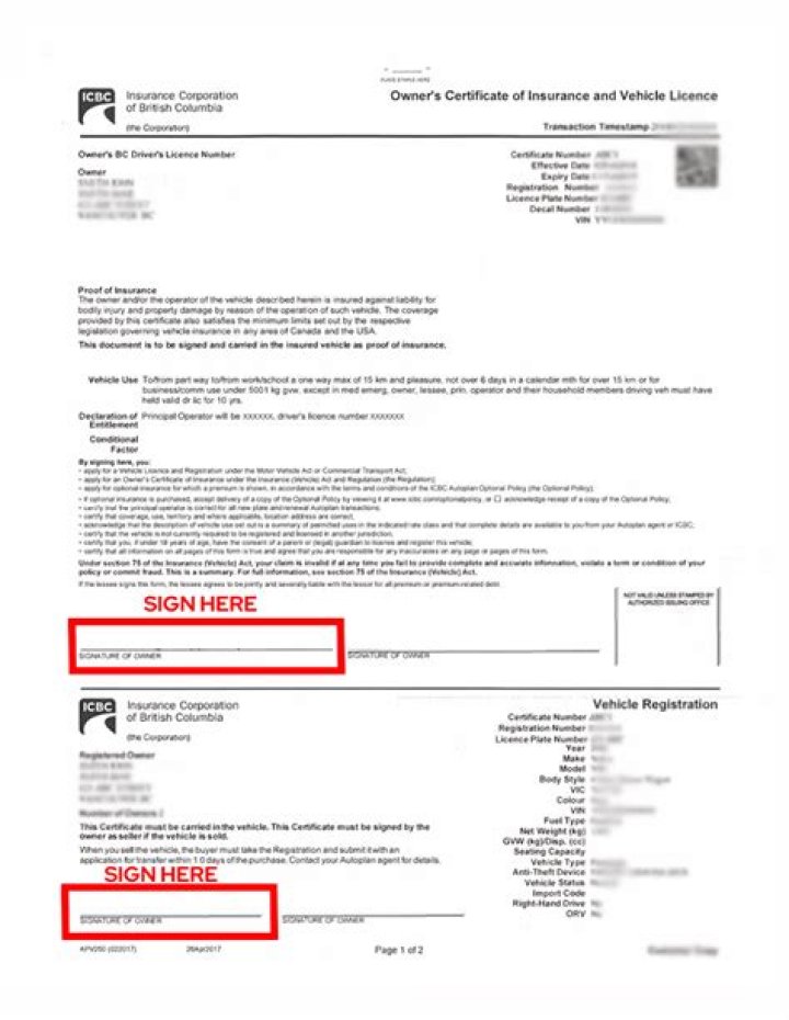How can I check the owner of a vehicle in Singapore?