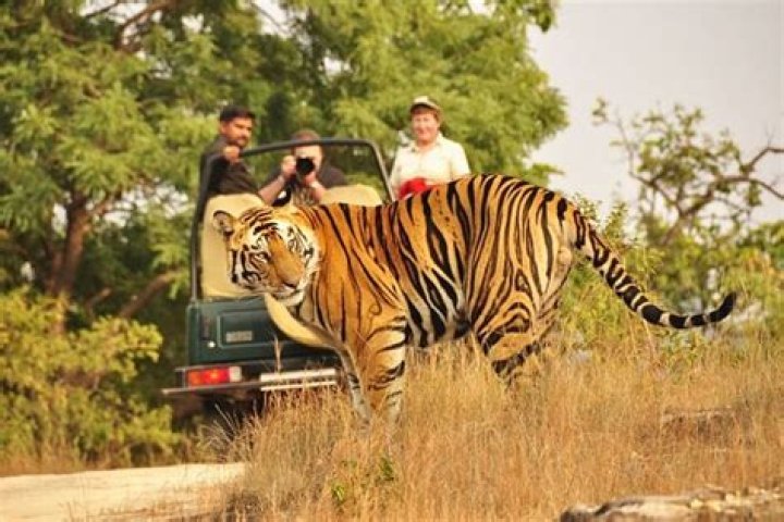 How can I go to Ranthambore by train?