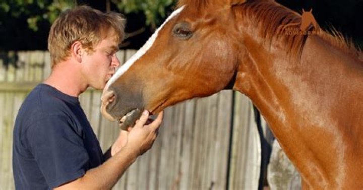 How can I improve my bond with my horse?