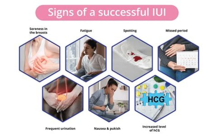 How can I increase my chances of IUI working?