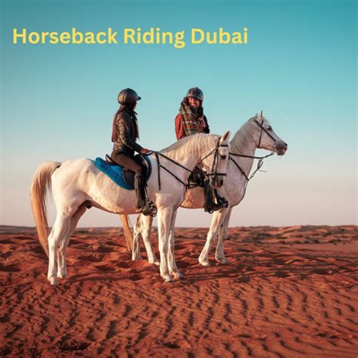 How can I learn horseback riding in Dubai?