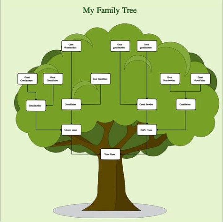 How can I make my family gathering more fun?