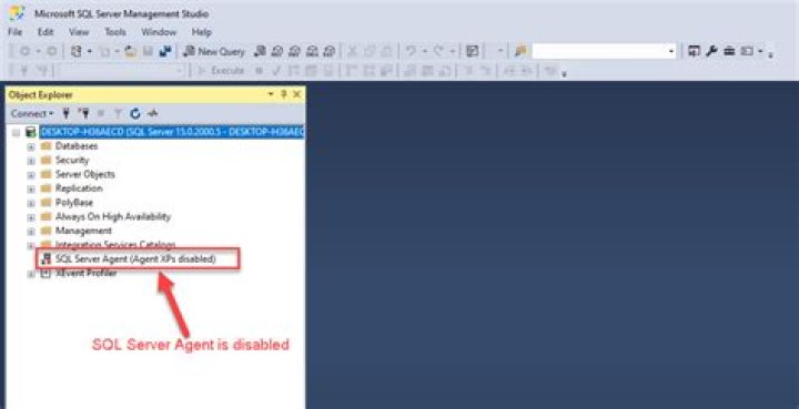 How can I tell if SQL sp4 is installed?