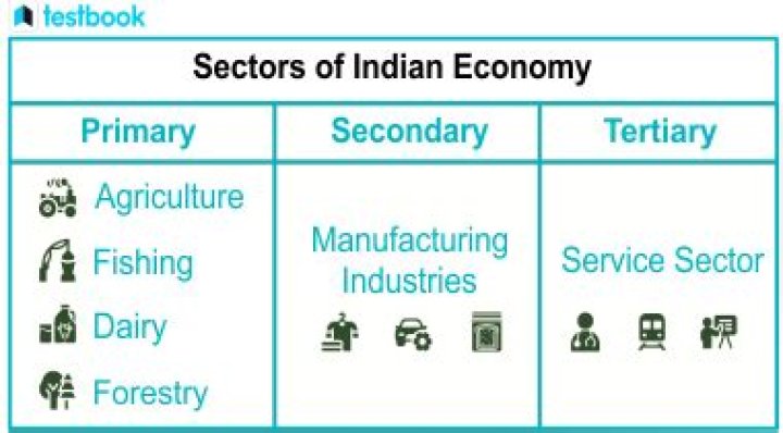 How can we create more employment in our country?