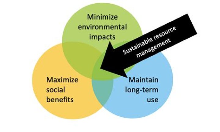 How can you minimize the impact of interruptions?