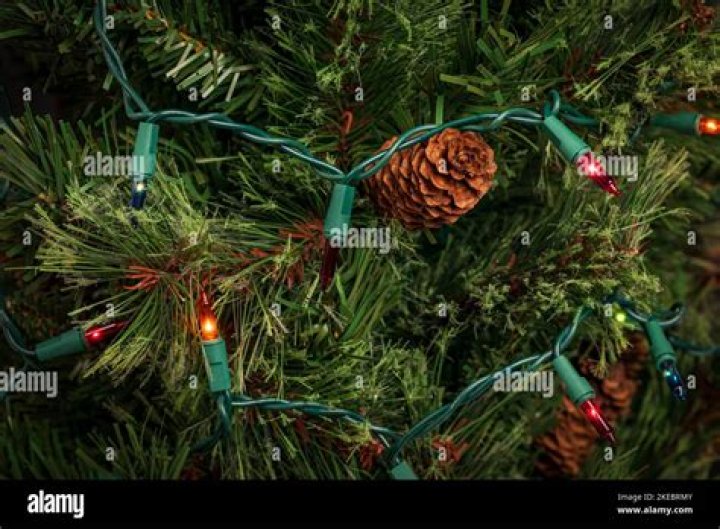 How can you tell which bulb is burned on Christmas lights without a tester?