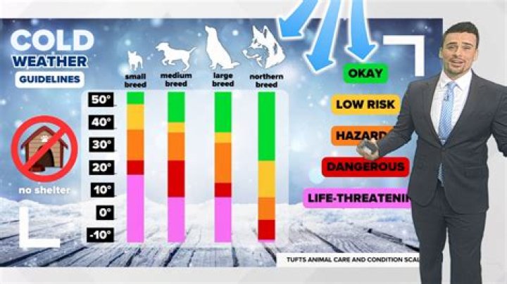 How cold is too cold for motorcycle tires?