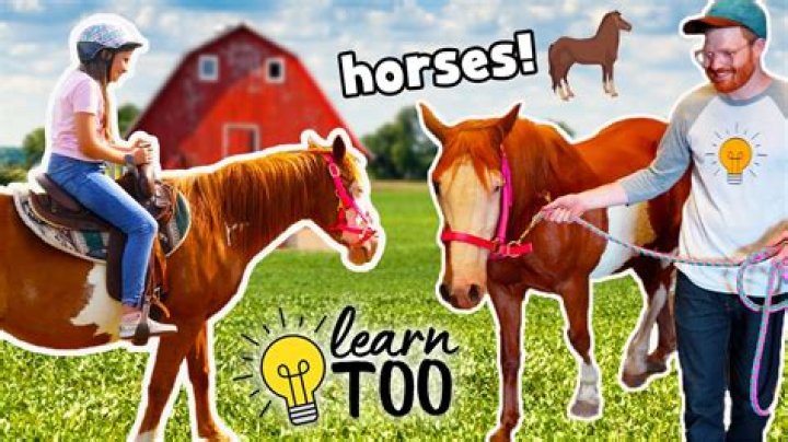 How did cowboys learn to ride horses?