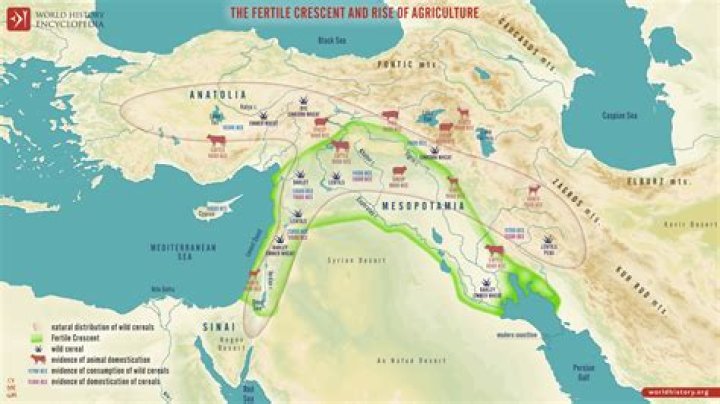 How did geography influence the development in the Fertile Crescent?