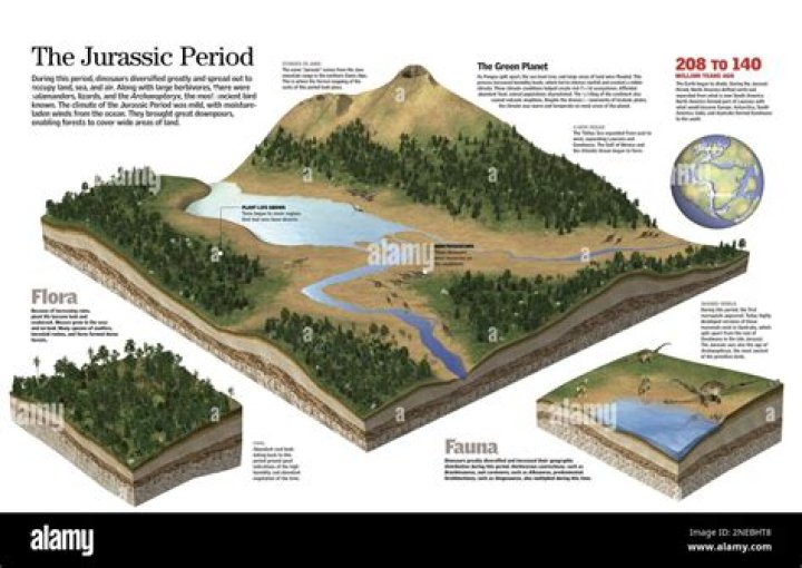 How did the environment change during the Jurassic period?