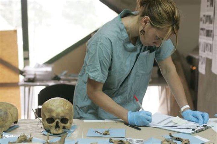 How do forensic anthropologists measure bones?