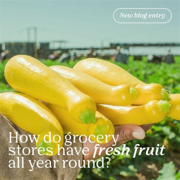 How do grocery stores hire?