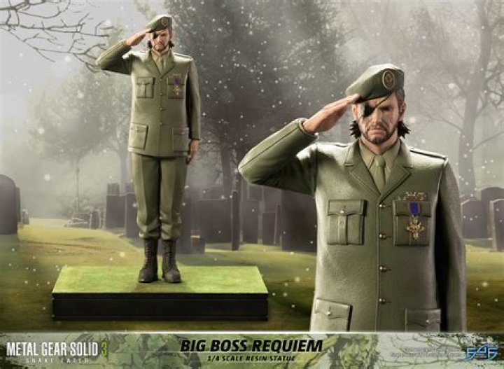 How do I beat Big Boss MGS3?