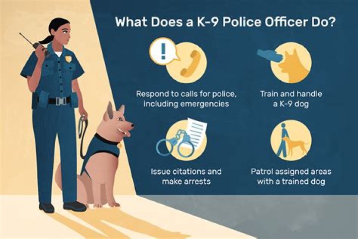 How do I become a K9 handler for police?