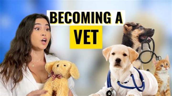How do I become a kennel worker?
