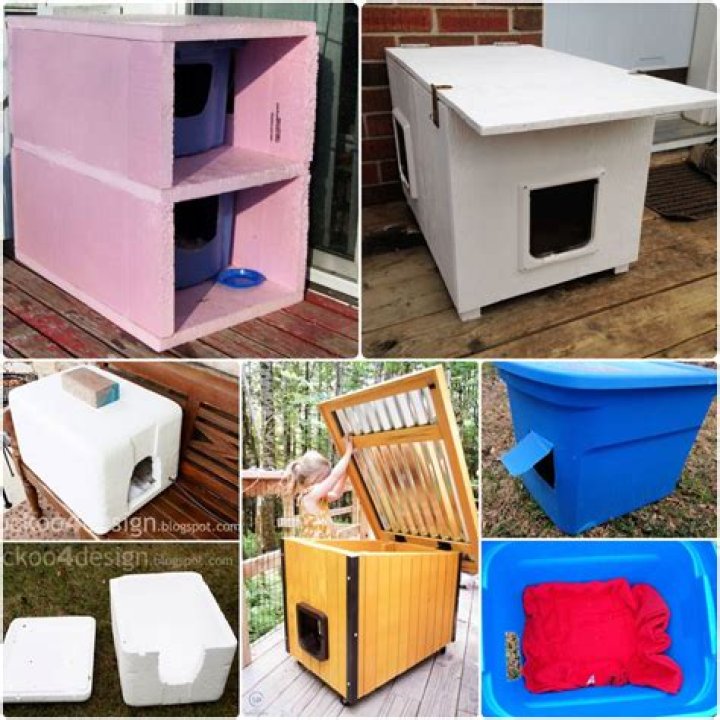 How do I build a temporary outdoor cat shelter?