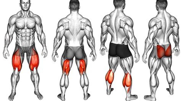 How do I build muscle in my skinny legs?