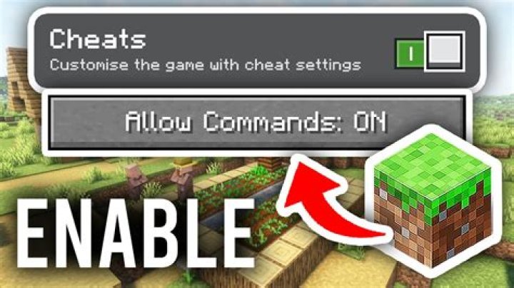 How do I enable cheats on RTCW?