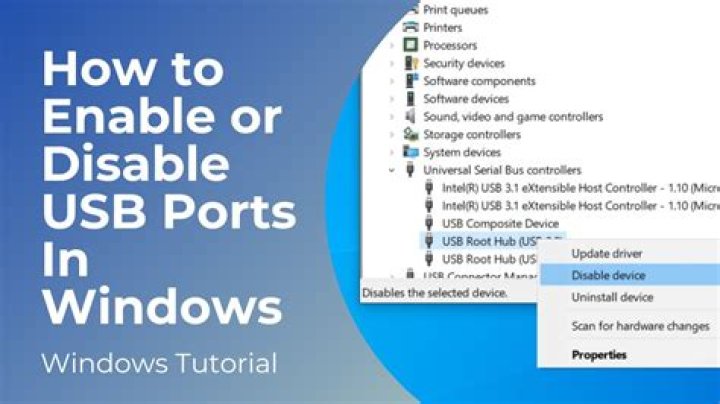 How do I enable or disable USB ports in Windows XP?