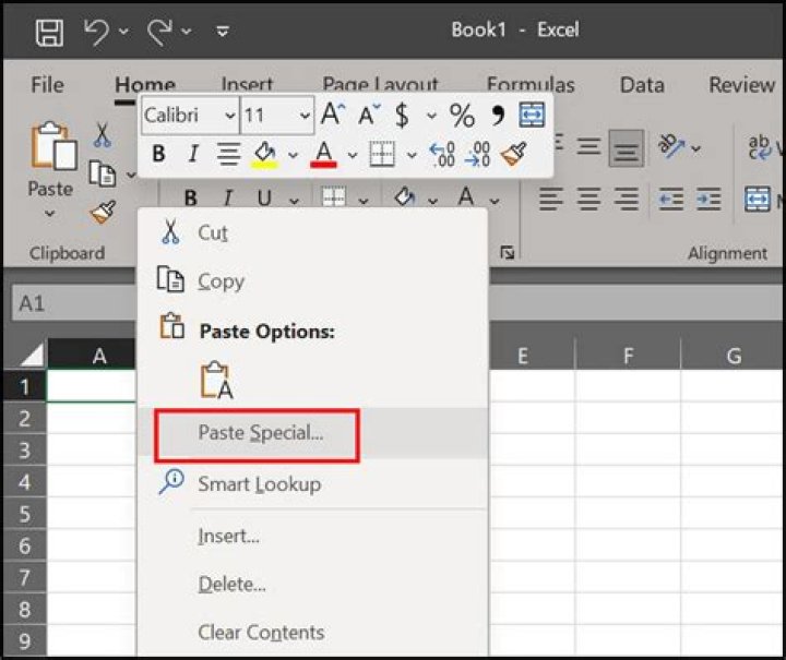 How do I enable Paste Special in Excel 2007?