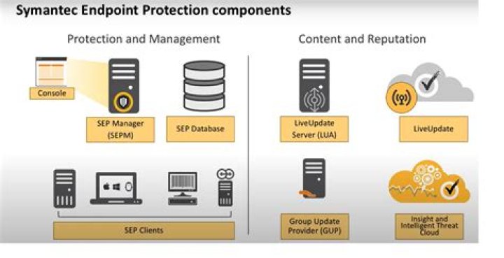 How do I enable Symantec Endpoint Protection?