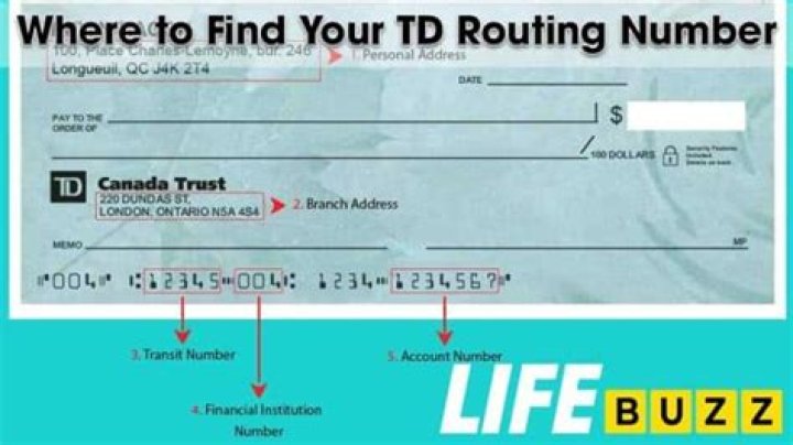 How do I find my TD user ID?