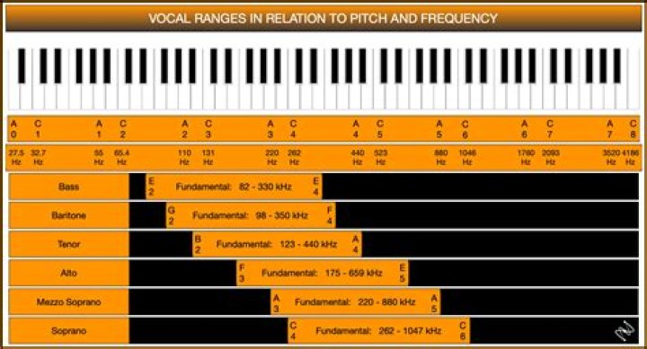 How do I find my vocal scale?