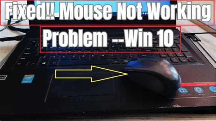 How do I fix my mouse from accidentally double clicking?