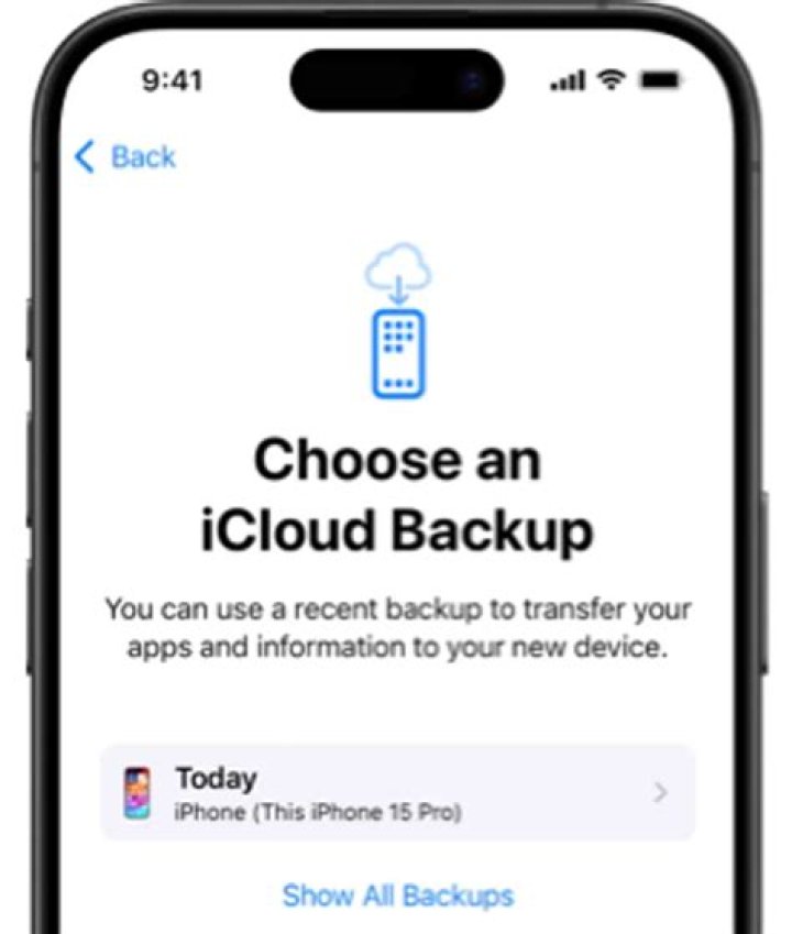 How do I force an iCloud backup manually?