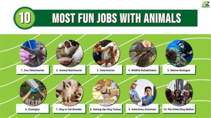 How do I get a job working with animals?