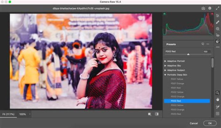 How do I get brush presets in Photoshop?