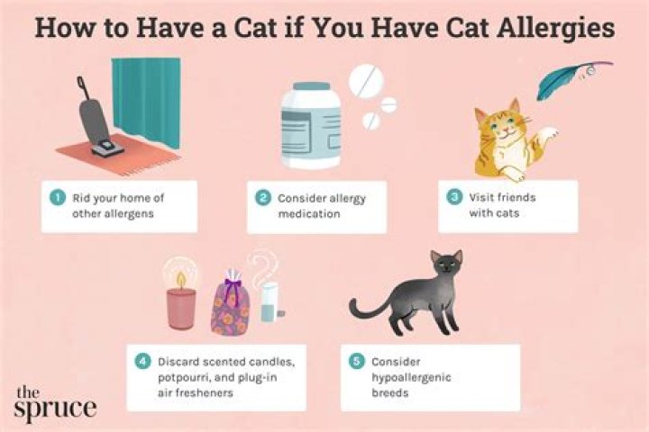 How do I get rid of cat allergies forever?