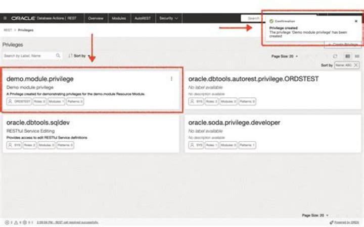 How do I give a user a sys privilege in Oracle?