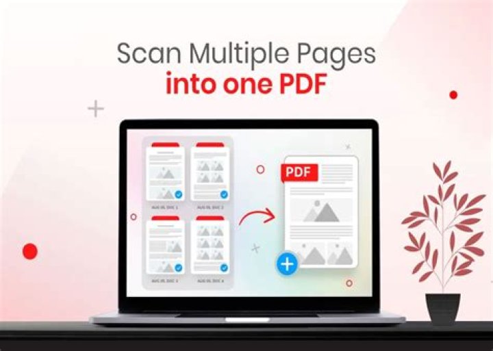 How do I insert a multipage PDF into a Word document 2010?