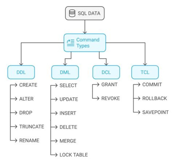 How do I insert SQL commands in Word?