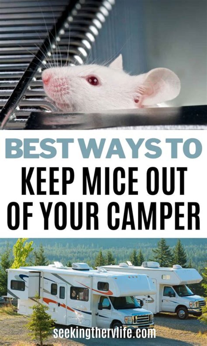 How do I keep mice out of my camper in the winter?