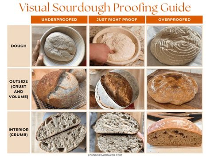 How do I know if my bagel dough is proofed?