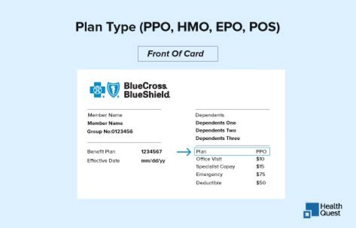 How do I know if my BCBS is PPO?