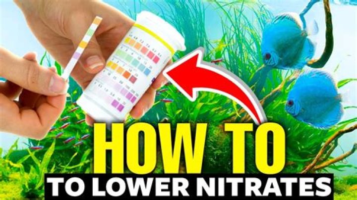 How do I lower nitrate and nitrite in my aquarium?