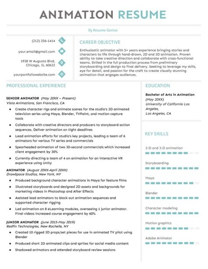 How do I make an animator resume?