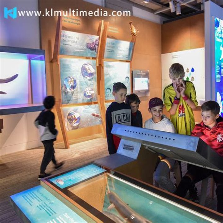How do I make an exhibit in Zoo Tycoon?
