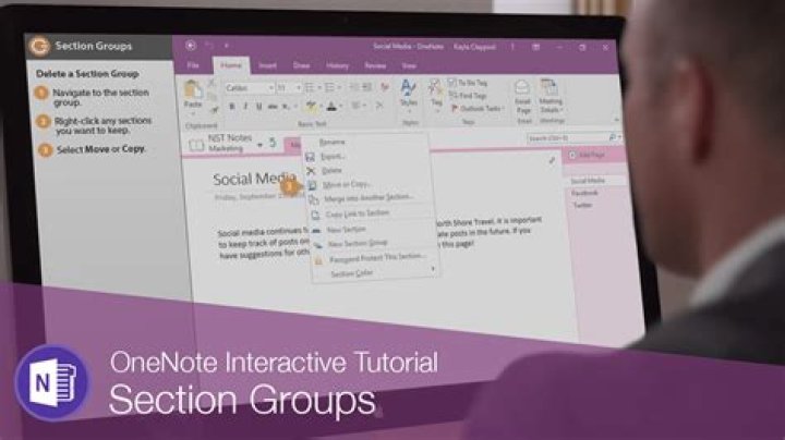 How do I organize a section group in OneNote?