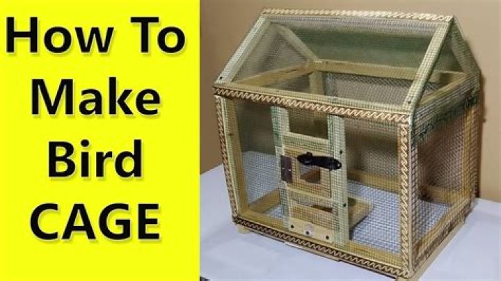 How do I protect the walls behind my bird cage?