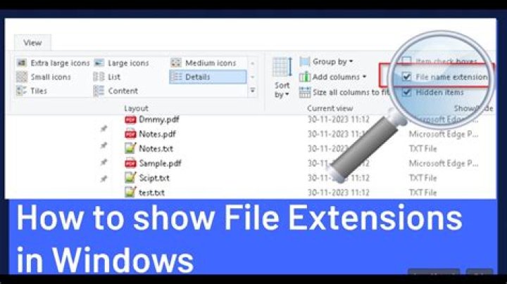 How do I see all file extensions in Excel?