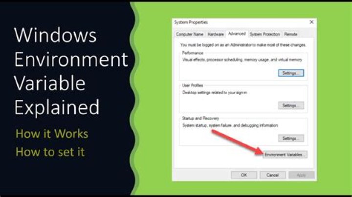 How do I set Environment Variables in Windows XP?