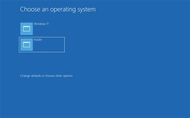 How do I set my default OS to dual boot?